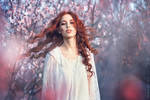 Natalis Domini. Spring Garden by RavenaJuly
