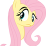 Fluttershy: eh?