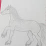 horse 