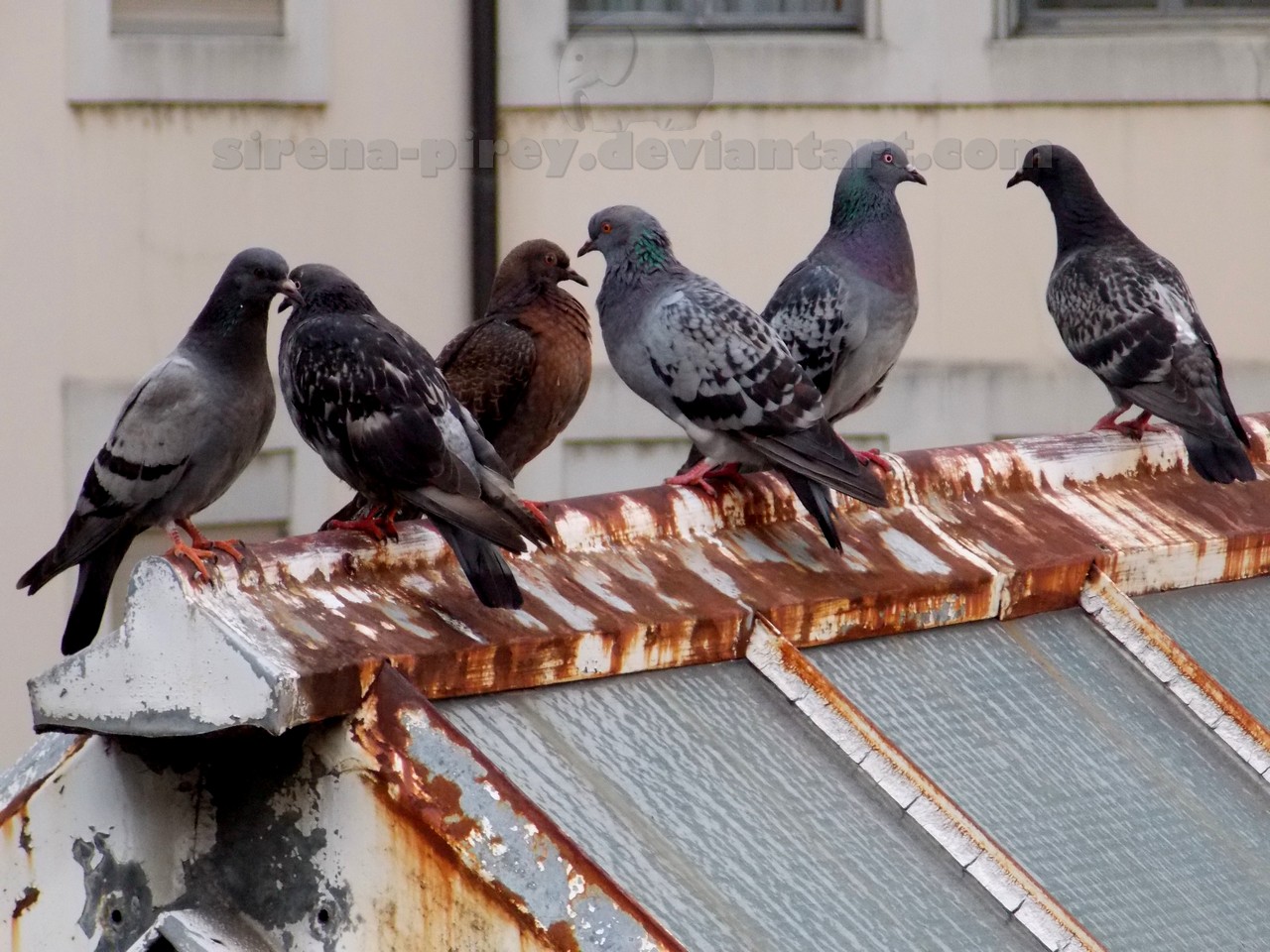 Everybody came with a partner? by sirena-pirey