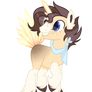 Unicorn Pony OC  .:Adoptable CLOSED:.