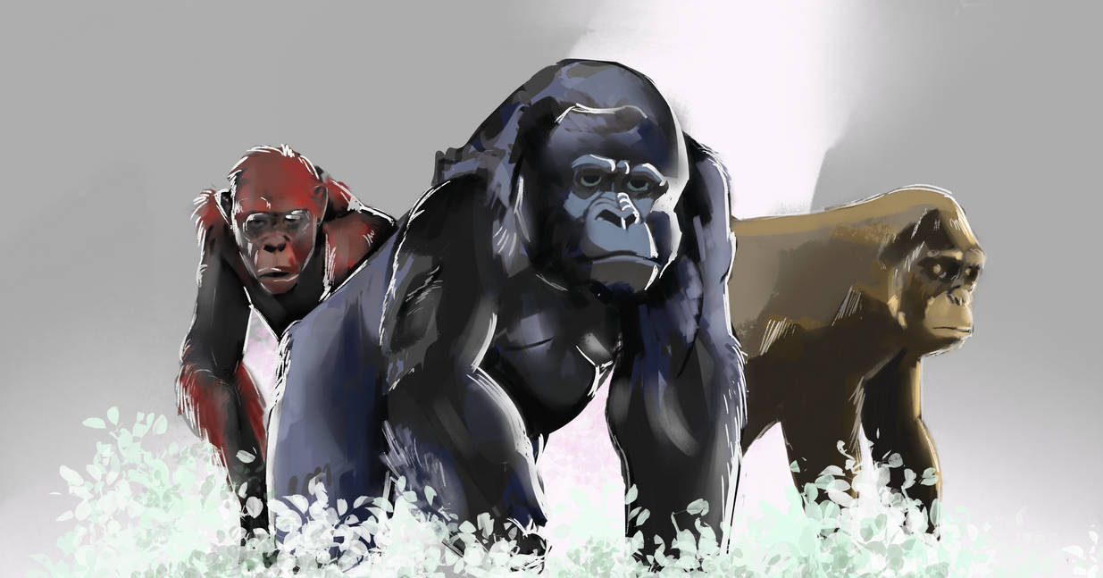 Monkeys by Samation on DeviantArt