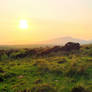 Bog in the hazy twilight.