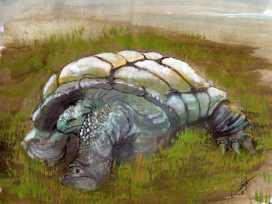 Turtle March Deviantart Three Rocks Turtle by theartspark on DeviantArt