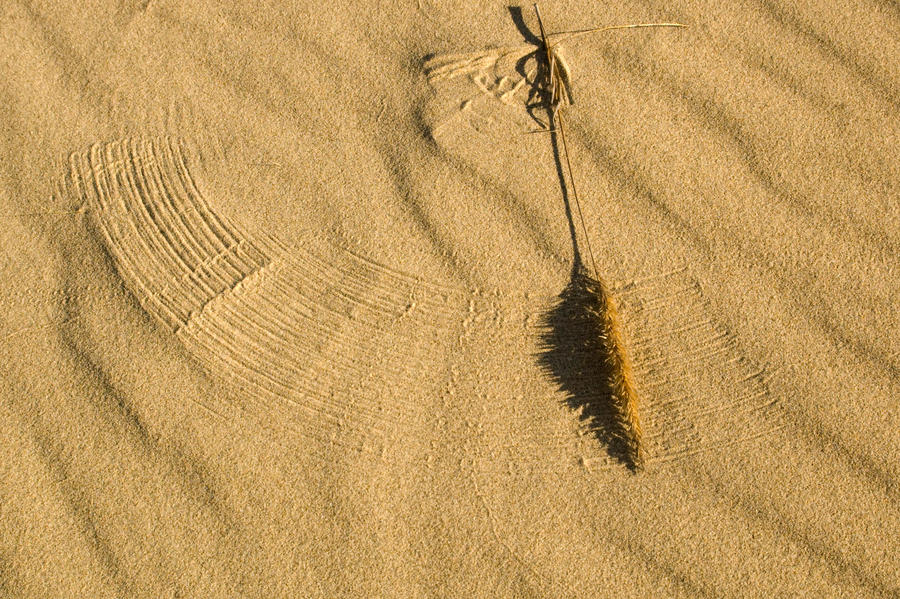 sand writing by jaerex09 on DeviantArt