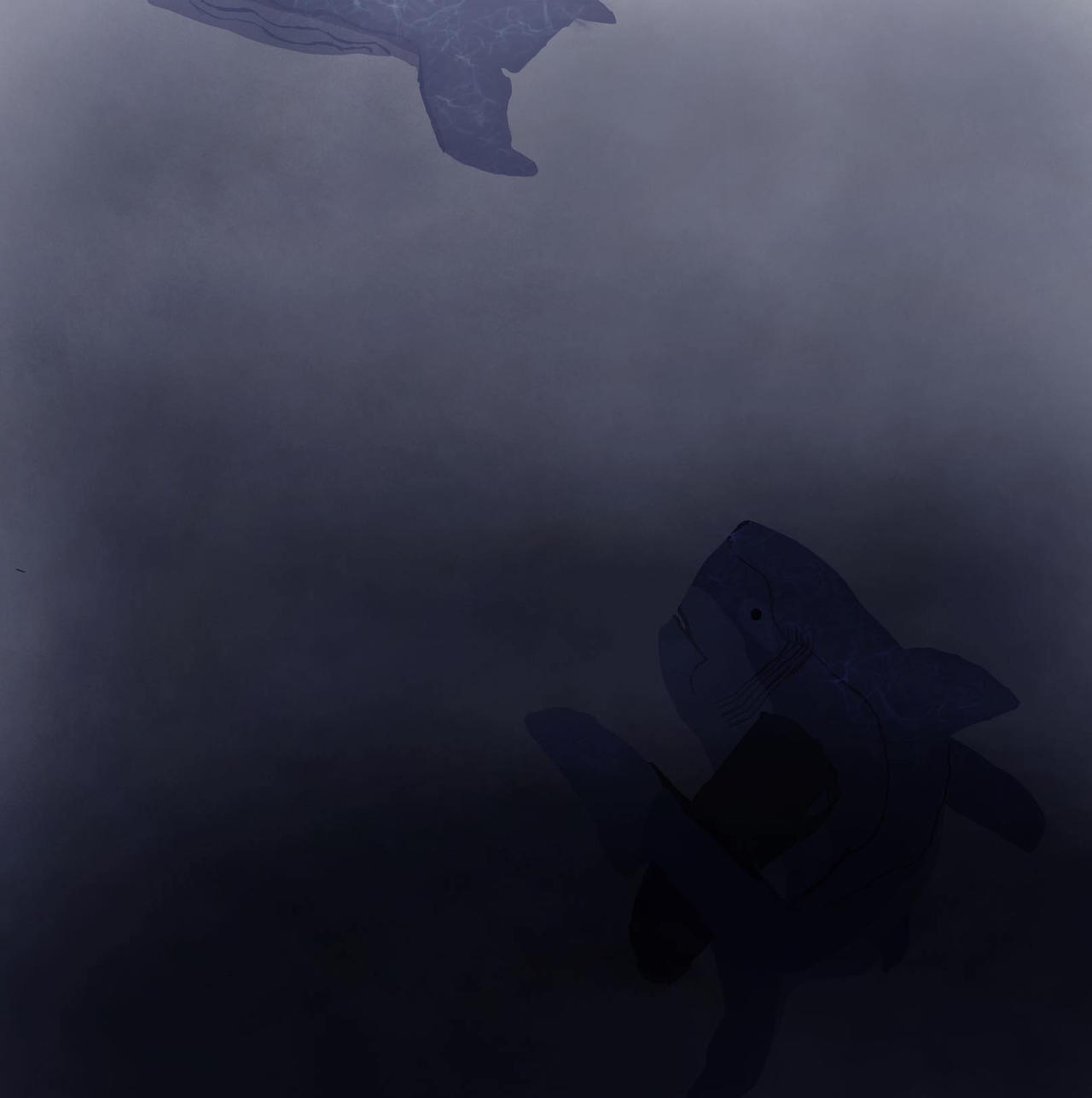 Megalodon Hunting by OneDinosaurGuy12 on DeviantArt