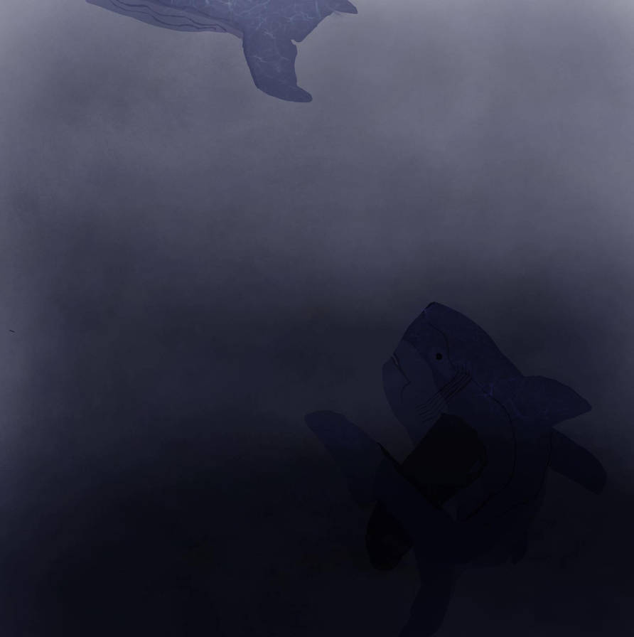 Megalodon Hunting by OneDinosaurGuy12 on DeviantArt