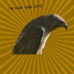 Fawk Hawk-Blank Meme