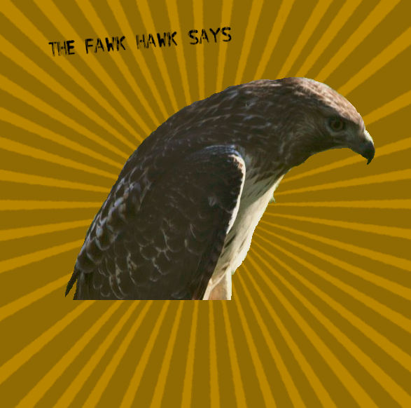 Fawk Hawk-Blank Meme by TheFawkHawkplz on DeviantArt