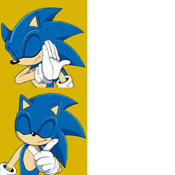 Drake Yes No Meme (Sonic Variant)