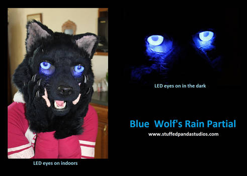 Blue Wolf's Rain LED eyes