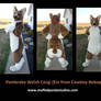 Ein fursuit FOR SALE!