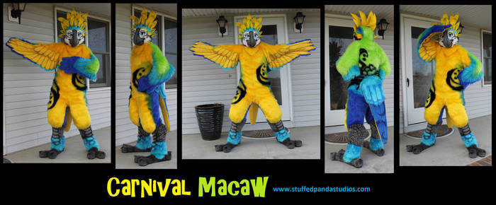 Macawfullsuit