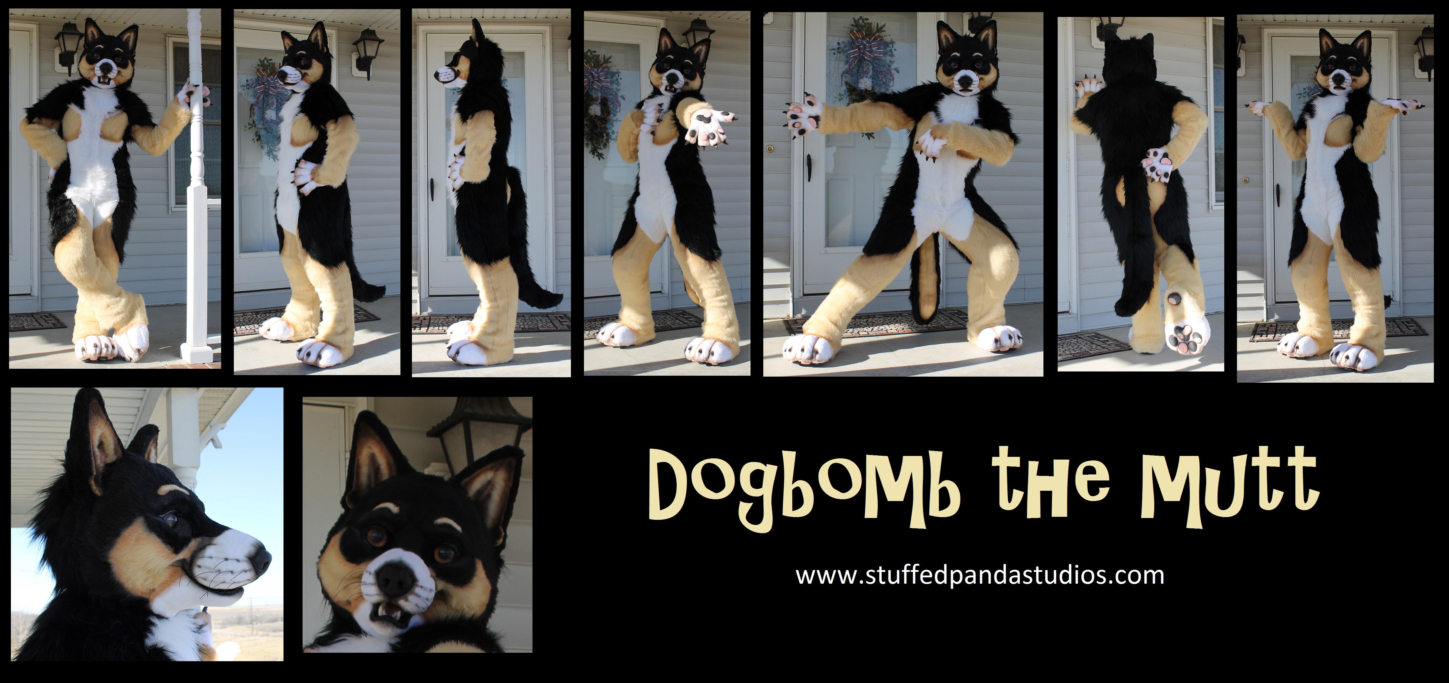 Dogbomb the Mutt fullsuit