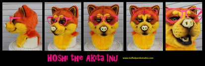 Hoshi the Akita Inu mask