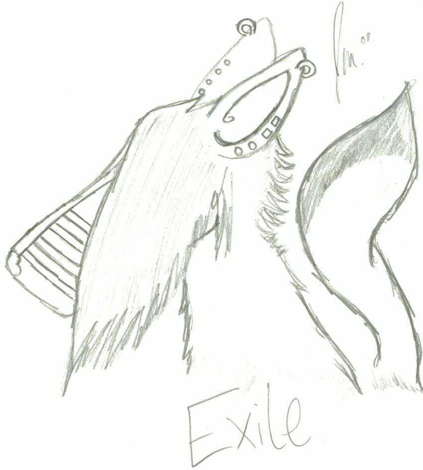 Exile - Upper body Sketch. by xWretched-Envy on DeviantArt