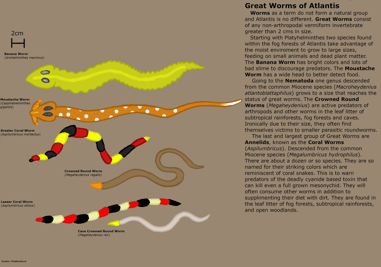 Oprichter Vruchtbaar Voorzitter Atlantis Phase 3 Entry 37: The Great Worms by TheSirenLord on DeviantArt