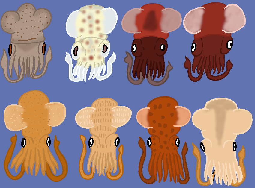 Sepioline Sepiolids: The Common Bobtail Squids by TheSirenLord on ...
