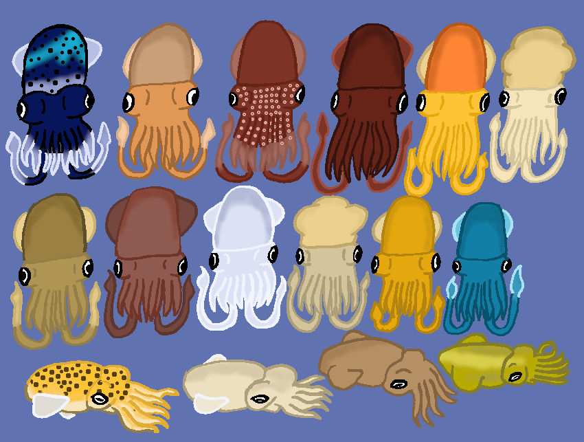 Sepioline Sepiolids: The Common Bobtail Squids 2 by TheSirenLord on ...