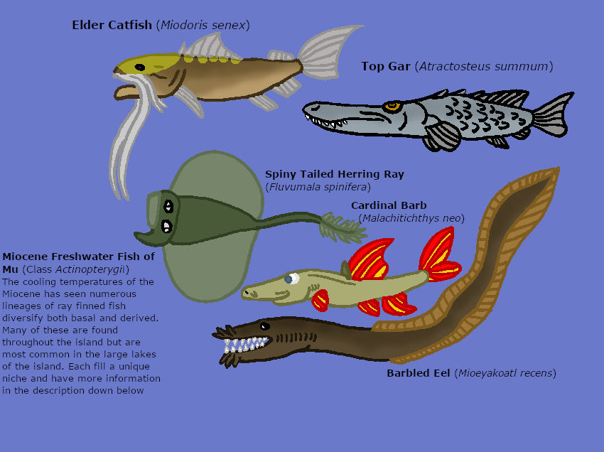Mu Fish Populating Mu 10: Miocene Freshwater Fish by TheSirenLord on DeviantArt