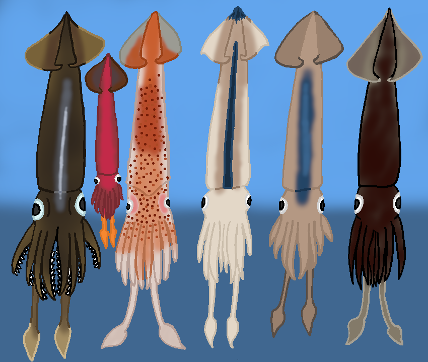 Ommastrephids: The Flying Squids 3 by TheSirenLord on DeviantArt Ommastrephids: The Flying Squids 3 by TheSirenLord on DeviantArt