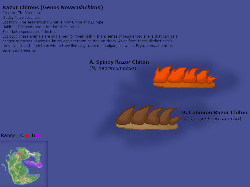 Great Thriving 32: Razor Chitons by TheSirenLord on DeviantArt