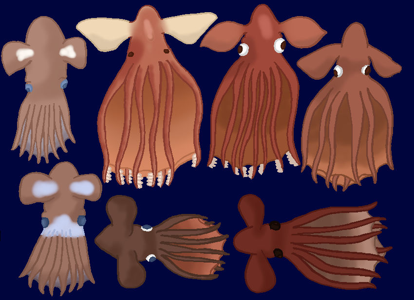 Cirroteuthids: The Cirrate Octopi by TheSirenLord on DeviantArt
