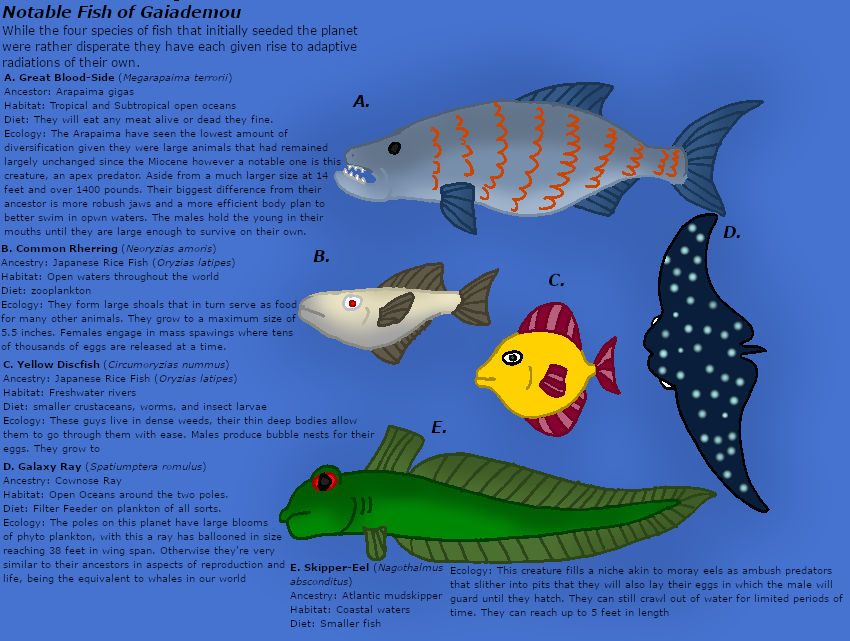 Generic Basic Fish Best In Class Entry 2: Common Fish by TheSirenLord on DeviantArt