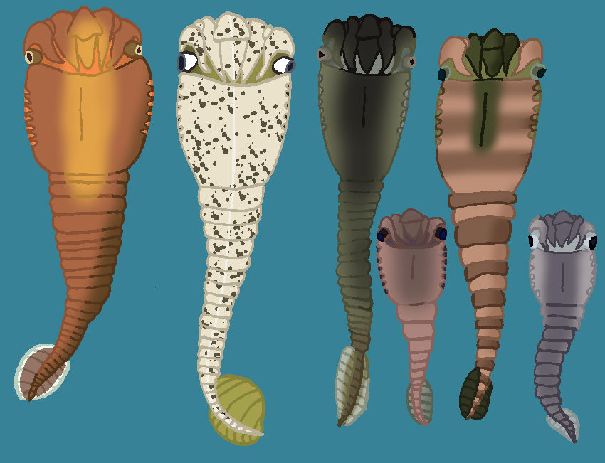 Anoymouse Fish Eriptychiids: Most Obscure Armored Jawless Fish by TheSirenLord on ...