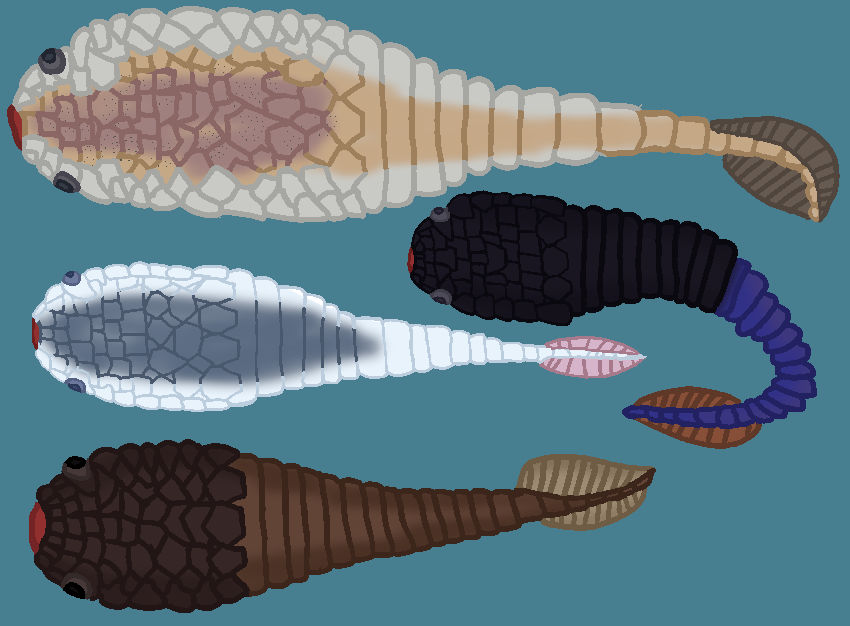 Teniform Fish Tesseraspidiformes: The First Mosaic Armored Fish by TheSirenLord on ...