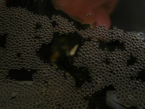 Bubble Nest - 2