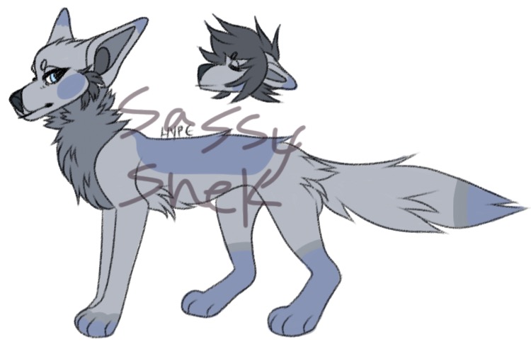 Canine Adopt AUCTION (CLOSED!!!)