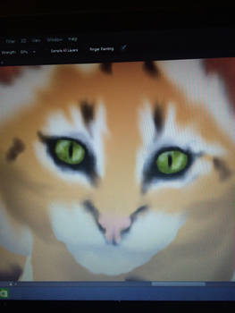 Wild cat WIP2