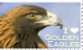Golden Eagle Appreciation