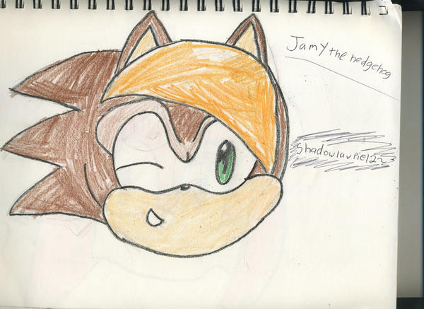 Jamy the hedgehog by shadowluvpie12 on DeviantArt