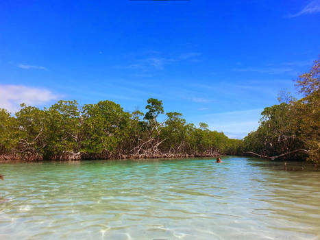 Guilligan's Island, Guanica, PR