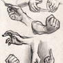 July 4 Hand Study