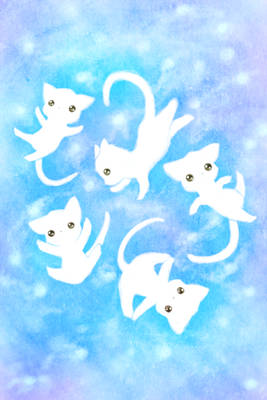 kitties in space