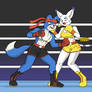 Gatomon Vs Gaomon boxing (commission)