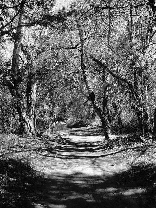 One Way Path by MorganKArt on DeviantArt