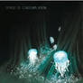 Jellyfish Forest - CD Cover