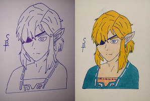 Link Lined and Coloured