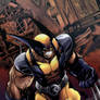 X-men Wolverine  (colors)