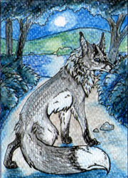 ACEO: Misty