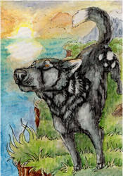 ACEO: ZulayaWolf