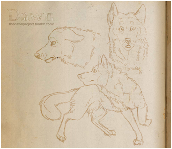 The Dawn Project: Sketches about wolf