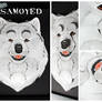 3D - Portraits: Samoyed