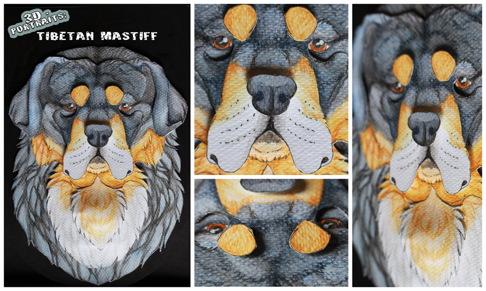 3D - Portraits: Tibetan Mastiff