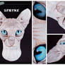 3D - Portraits: Sphynx