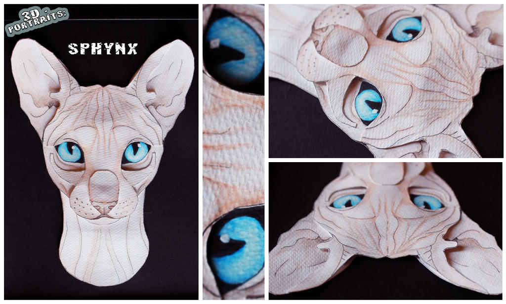 3D - Portraits: Sphynx
